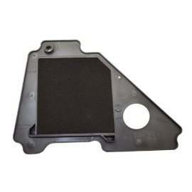 Filtro de aire completo YBR125 08-09